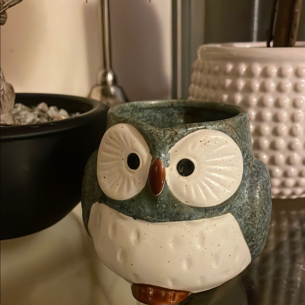Mino Ware Japanese Pottery Mug Cup Owl Shape Stone Charcoal made in Japan